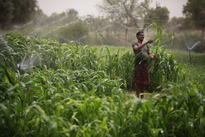 Farming in Radjasthan