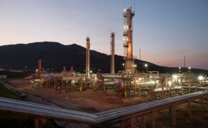 Do you have a gun Sir?