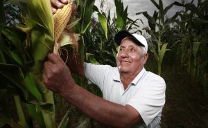 The hunt for Paddington Bear