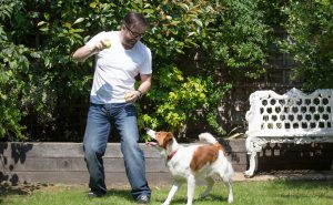 The Barney and Ricky Show