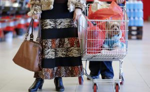 Supermarket Dogs